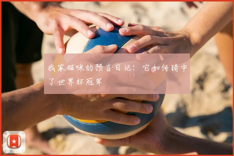 我家猫咪的预言日记:它如何猜中了世界杯冠军