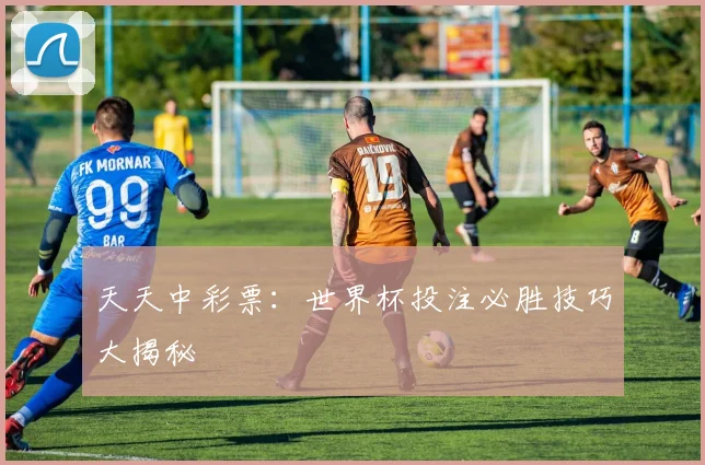 天天中彩票：世界杯投注必胜技巧大揭秘