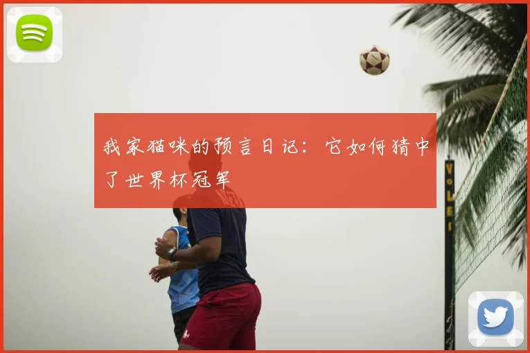 我家猫咪的预言日记:它如何猜中了世界杯冠军