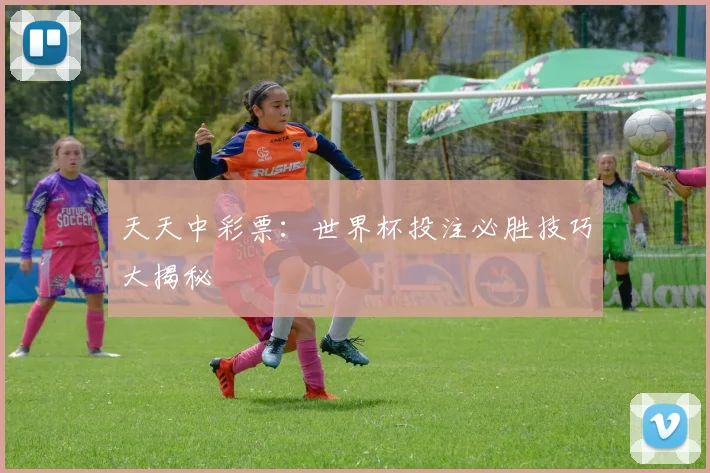 天天中彩票：世界杯投注必胜技巧大揭秘