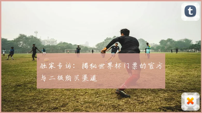独家专访：揭秘世界杯门票的官方与二级购买渠道