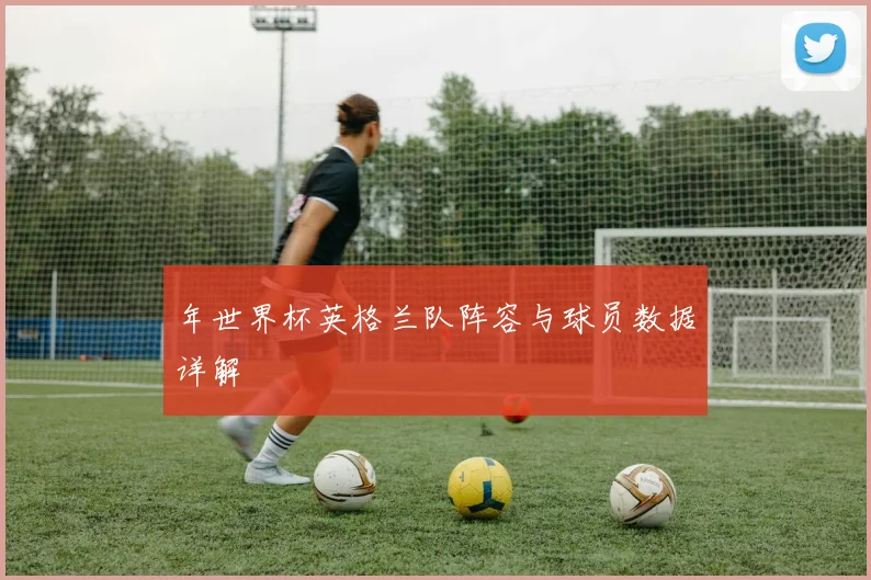 年世界杯英格兰队阵容与球员数据详解