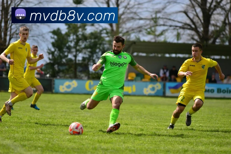 开云综合app官网登录品牌故事