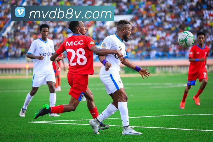 开云综合app官网登录服务体系